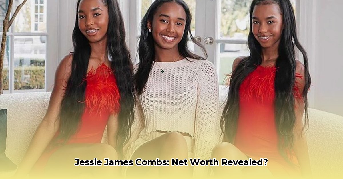 jessie-james-combs-net-worth